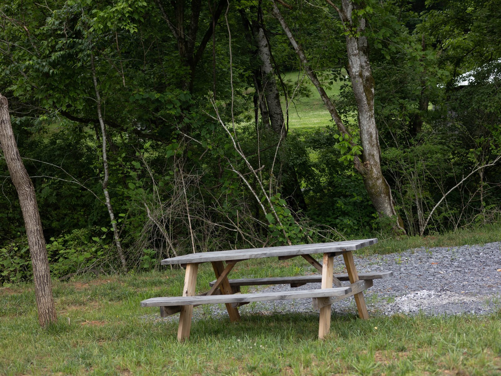 A picnic table under the trees beside the gravel drive