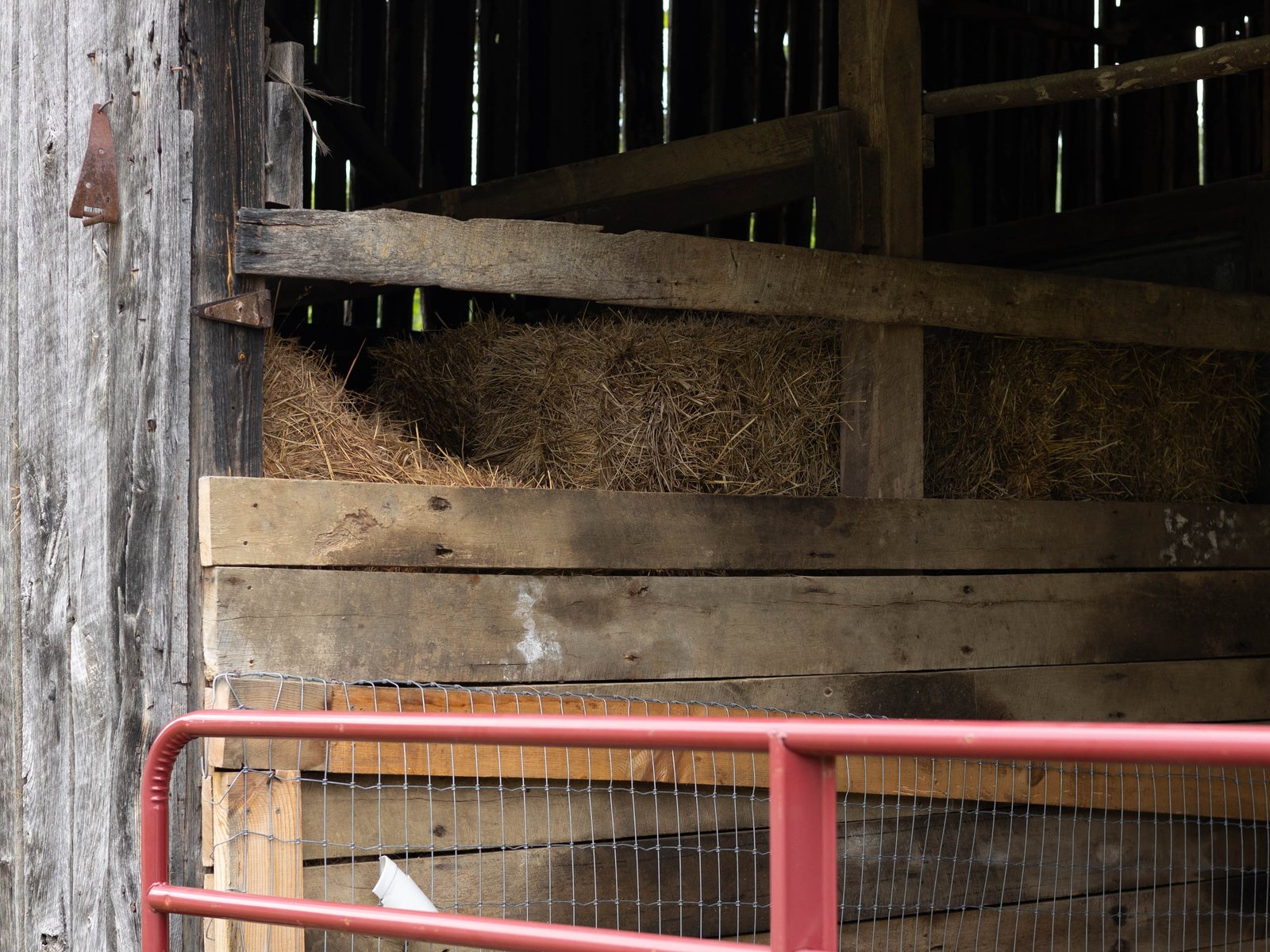 A horse stall in the barn, with hay behind a red gate